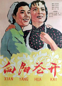 午夜怡红院
